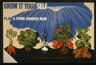 Victory gardens were an essential source of fresh fruits and vegetables during the Great Depression.