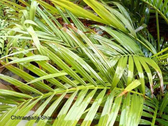 Essay on rainy day for class 3 image