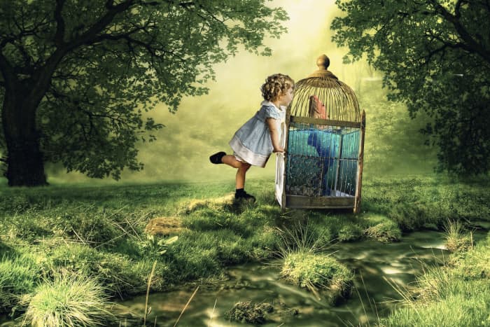 High quality fiction and non-fiction children's books are an important feature in a STEM or STEAM teacher's Unit on Arbor Day or Earth Day. Some of these selections are classics, and others soon will be. Enjoy!