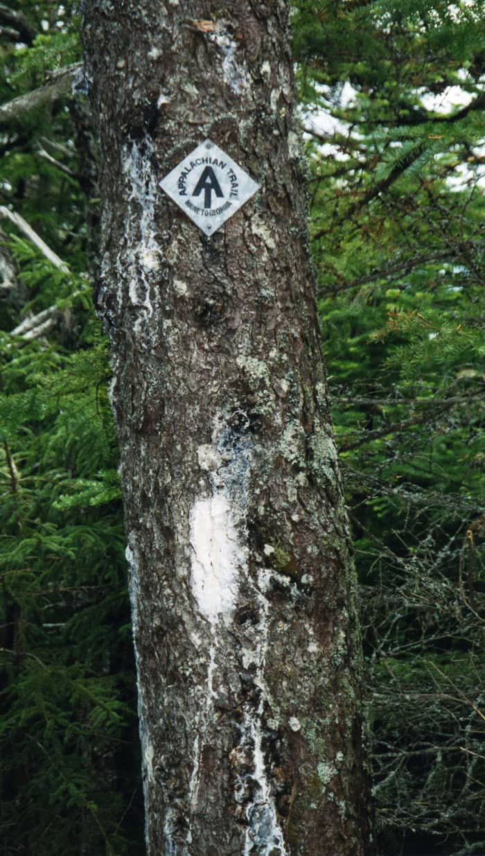 Though, thanks to thieves, the diamond shaped metal AT signs are rare, the trail is marked with white 2x6 - inch blazes along the way. I only lost the trail a few times during my journey.