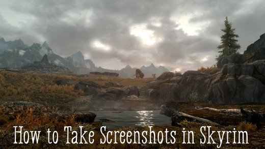 Playing "Skyrim" is like walking around inside a painting by a great artist.