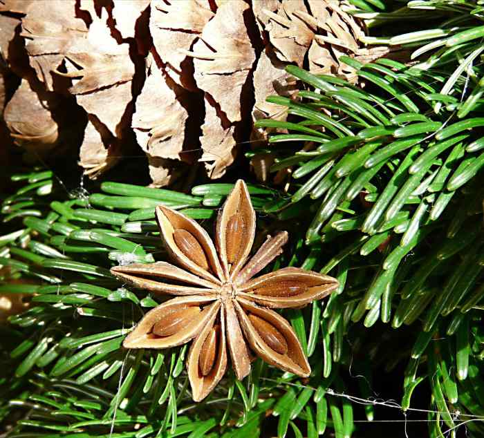 Star Anise as Part of an Advent Wreath