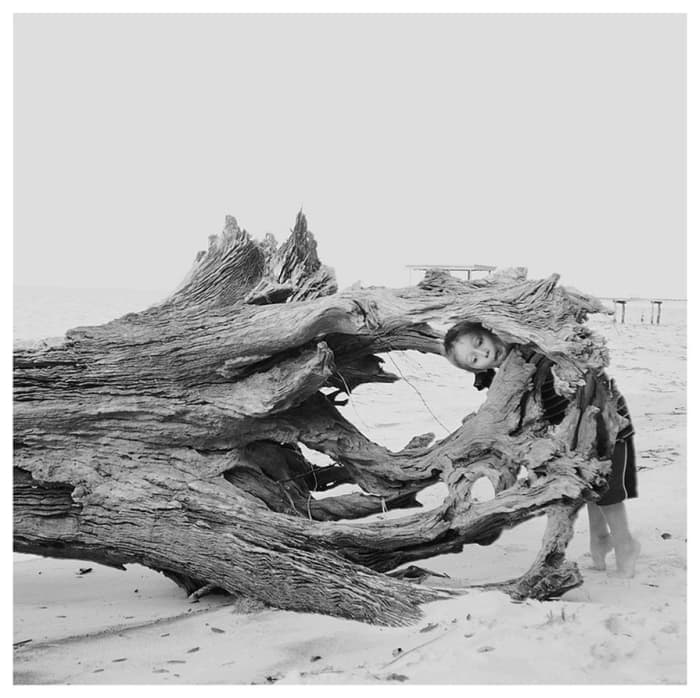 "Gulp." My son exploring driftwood on a beach at Fort Morgan. His animated exploration was delightful subject matter!