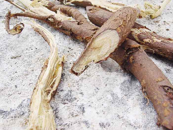 Effects of Licorice Root on Tooth Decay, Gum Disease, and Health