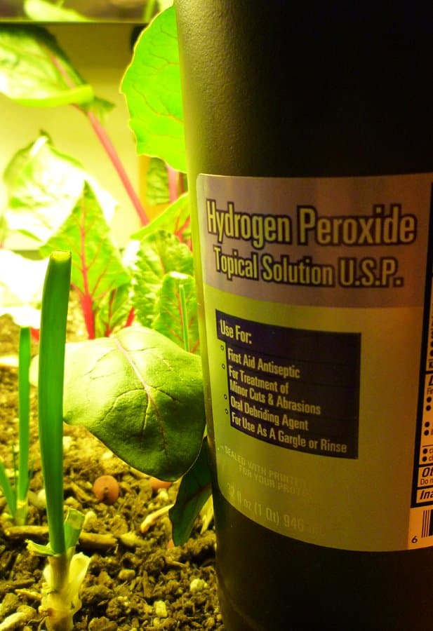 How Can I Use Hydrogen Peroxide In My Garden - Fields Bespoormsed