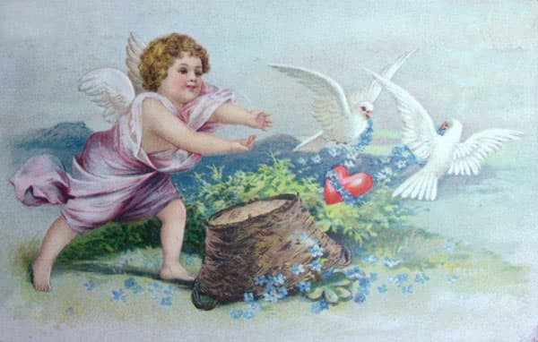 Vintage Valentine's Day Postcard. A cupid angel on Valentine's Day, chasing doves or lovebirds.