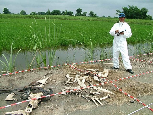 Body farms use cadavers to study the effects of the environment on human and animal bodies.