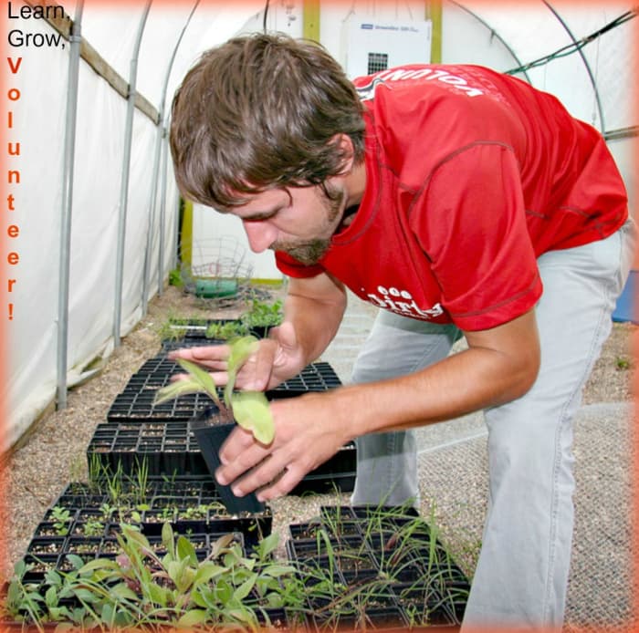 There is a volunteer post for every talent and taste. This man likes to garden and has found a position that allows him to camp for free while pursuing his interest in it.
