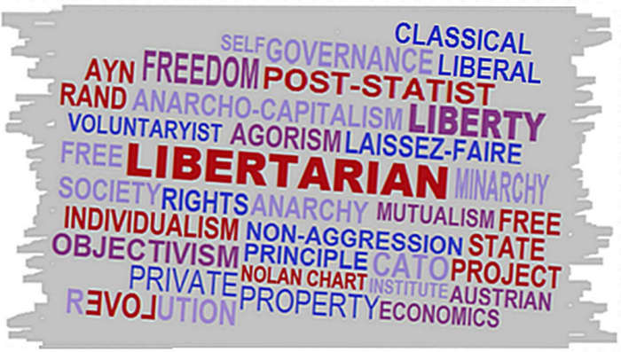 There is no single God-given canonical stone tablet sacred definition of libertarianism. Get used to it.