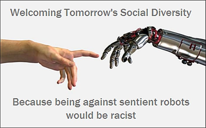 Social Acceptance: Openness to differences among all peoples, cultures, values, belief systems, sentient consciousness and manner of origin.