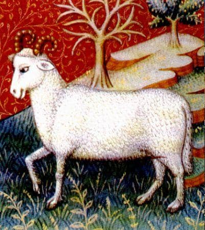 Aries is the first sign of the Zodiac. The Ram is this Fire sign's symbol, and is ruled by the Astrological planet Mars.