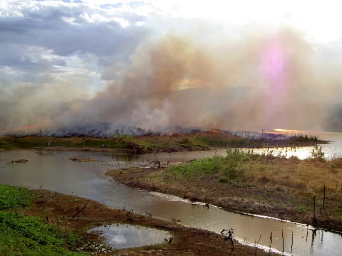 The use of slash-and-burn farming technique in Ceará, Brazil contributes to the already mass scale deforestation in the Amazonian forest.