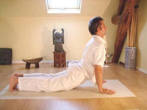 Cobra Pose or bhujangasana is an easy yoga pose for beginners and tones the back, kidneys and buttocks.