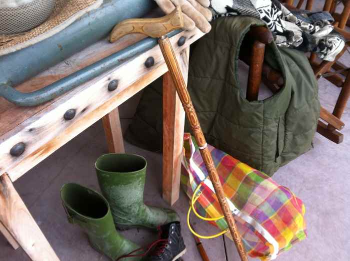 What you need to go food foraging