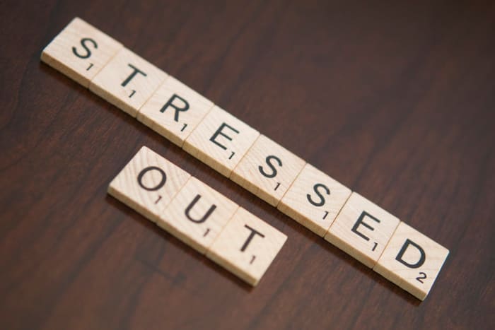 This article will take a look at our society's overemphasis on standardized tests and how it negatively affects children's lives and futures.