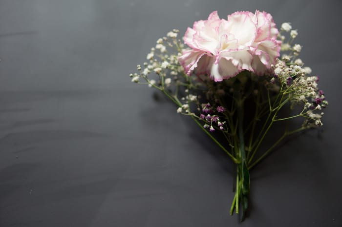 Baby's breath, or gypsophilia, is a common fixture in floral arrangements for all occasions, and this article will show you how to grow and care for them.