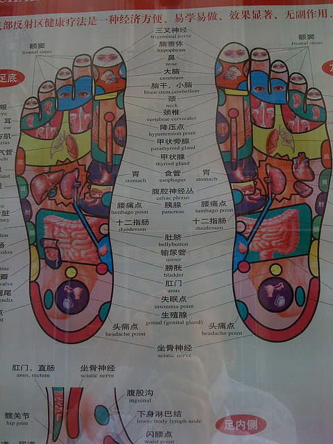Most reflexologists have a chart showing how the areas of the feet correspond to the areas of the body.