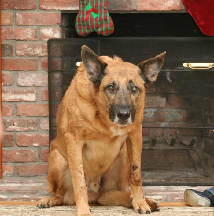 Can I stay inside with you?