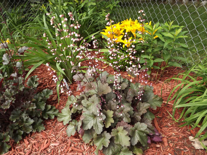 This is a small section of a larger garden.