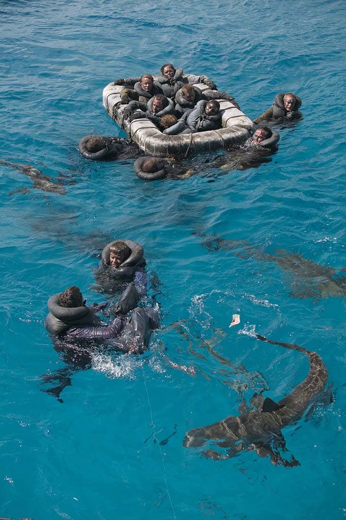 Have you heard of the HMS Birkenhead shark attacks? Read on to learn about this and nine of the other worst shark attacks in history.