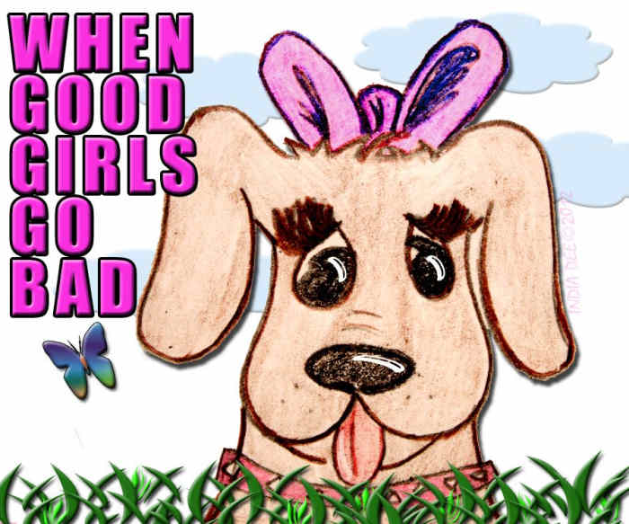 5 Reasons Why Female Dogs Hump PetHelpful