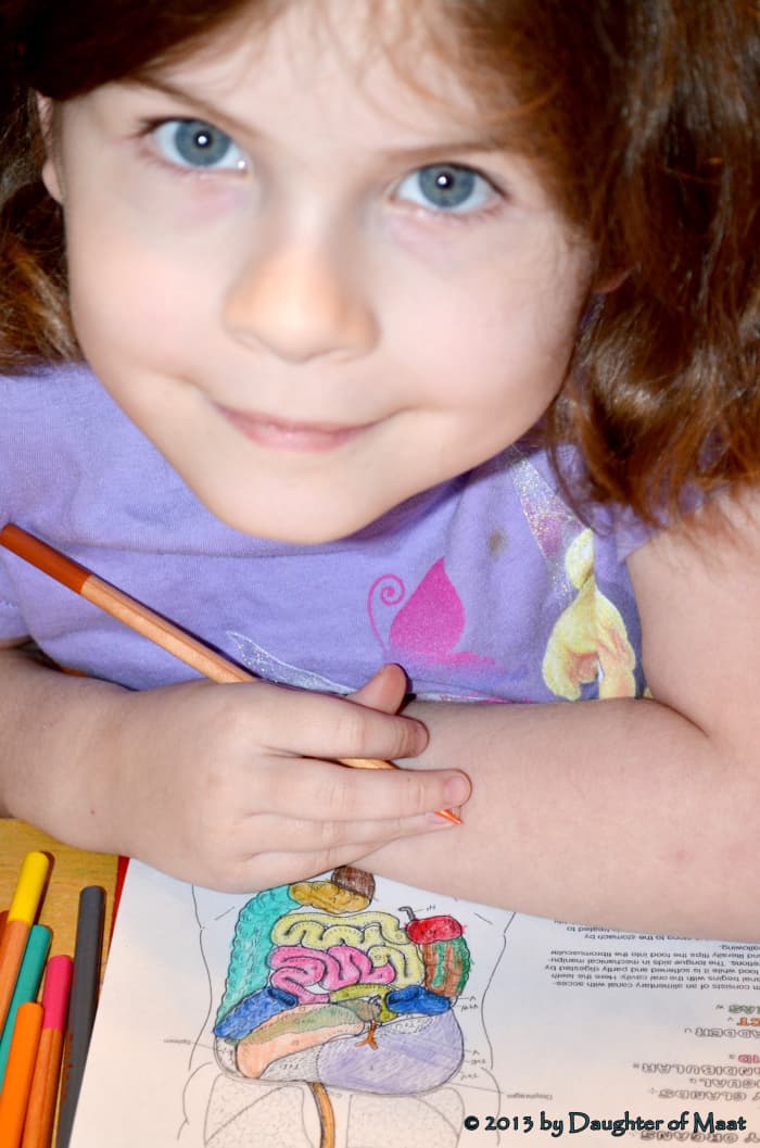 Homeschooling is a good option for kids with ADHD. The one-on-one attention makes it easier for them to learn at their own pace.