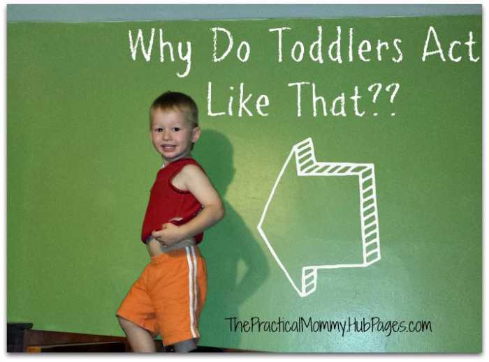 Toddler Behavior Why Do Toddlers Act Like That? WeHaveKids