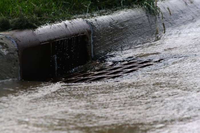 Rainwater rushing to the ocean, when it could be absorbed into the aquifer and used to keep plants, trees, and humans alive and healthy.