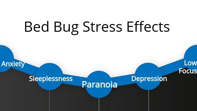 Bed bugs can cause emotional distress and mental health issues from the trauma and paranoia of infestation.