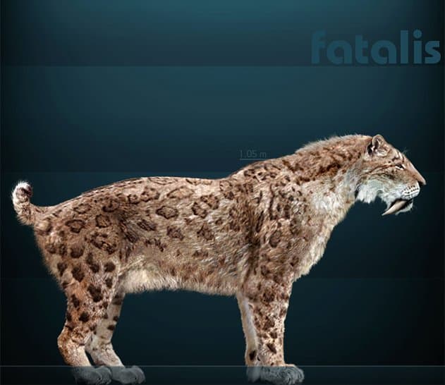 A reconstruction of Smilodon Fatalis- the species that lived in both North and South America