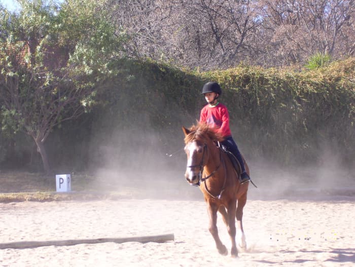 Most riders will, at some point, experience falling of a horse. With the tips in this article you can minimize the damage.