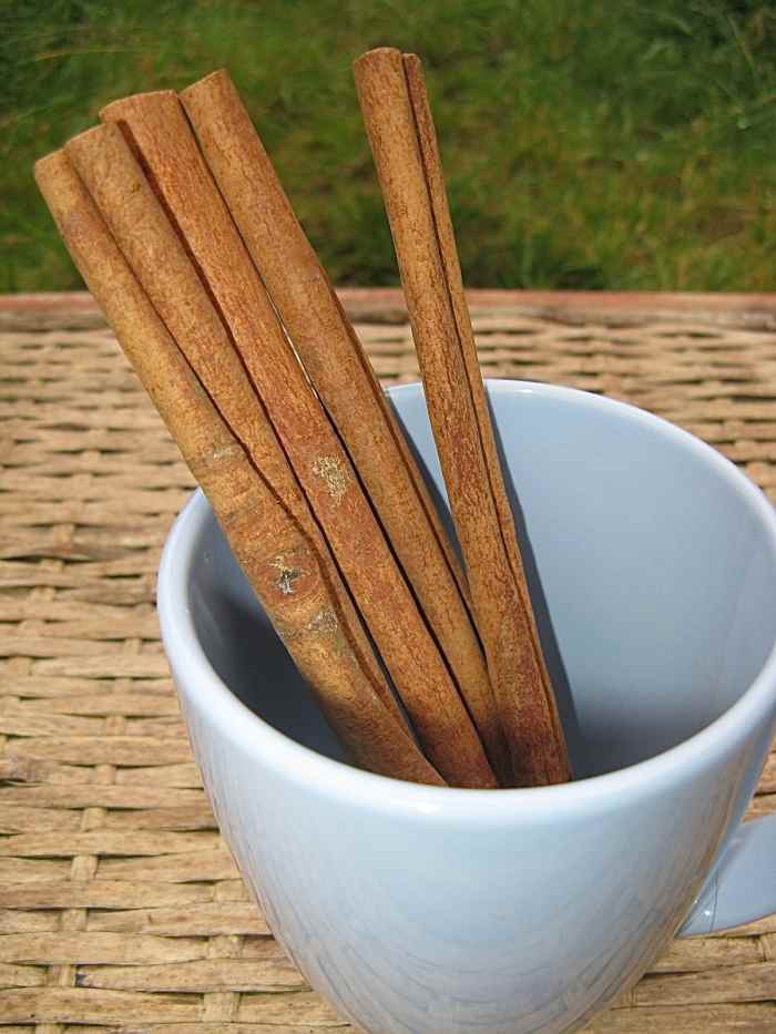 Ground cinnamon is a delicious spice and goes very well with pumpkin.