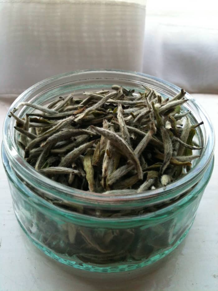 Baihao Yinzhen (Silver Needle): one of the most popular, healthy and delicious white teas.