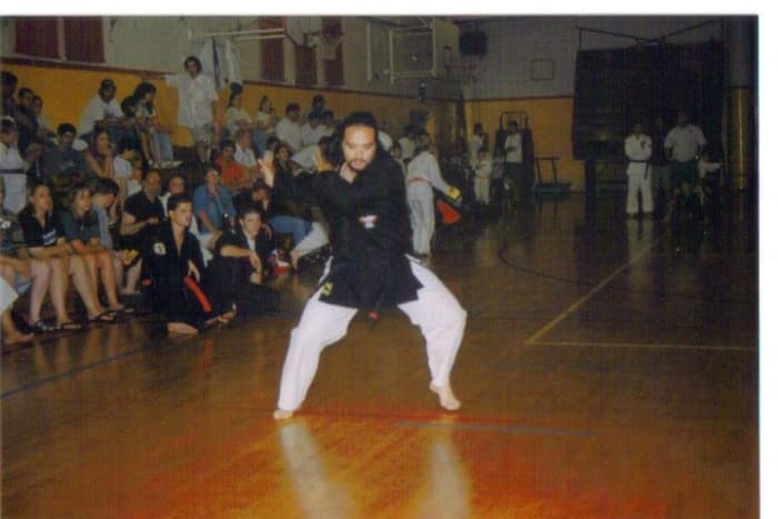 Kenpo uses both circular and linear movement along with continuity of motion, using fluidity to execute continuious strikes and defensive moves.