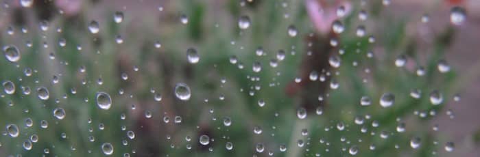 Chronic pain isn't all tears and rainy days. Look for ways to reduce pain and increase happiness.