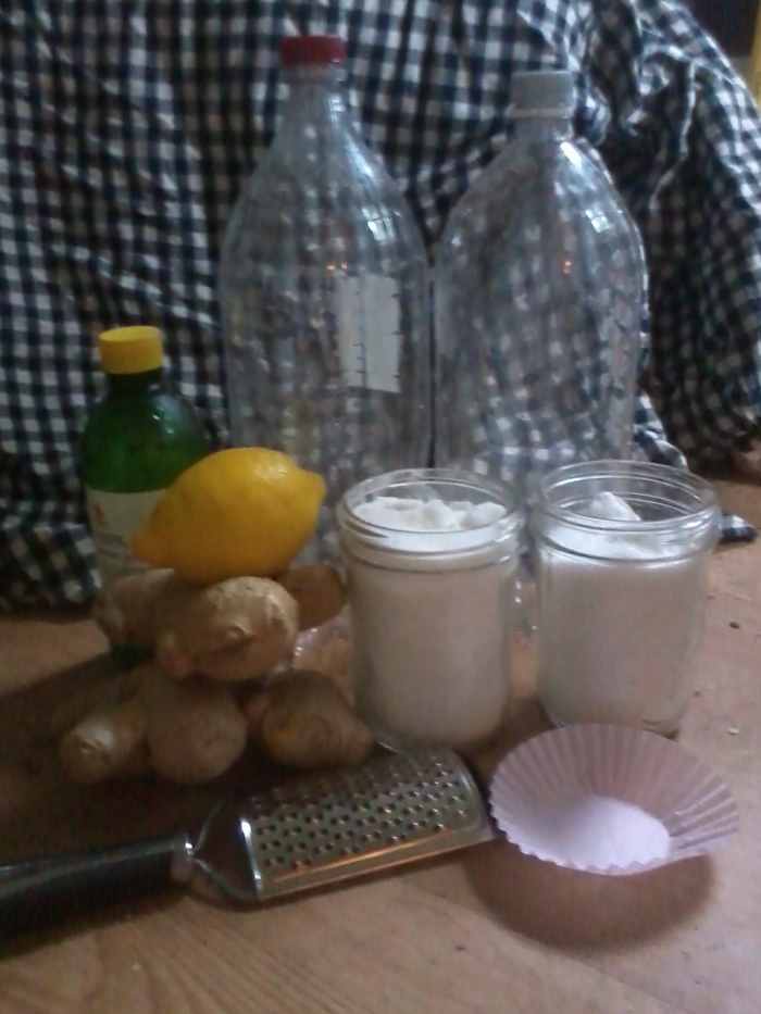 How to Make Ginger Beer (My TriedandTrue HomeBrew Recipe) Delishably