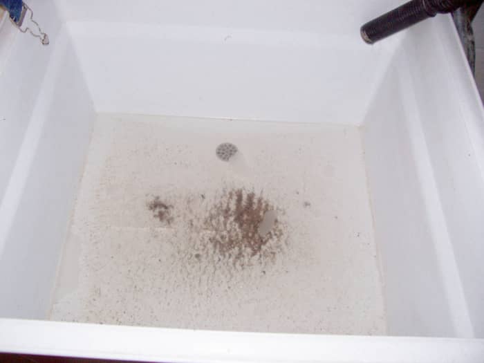 Standing water in the sink is never a good sign.