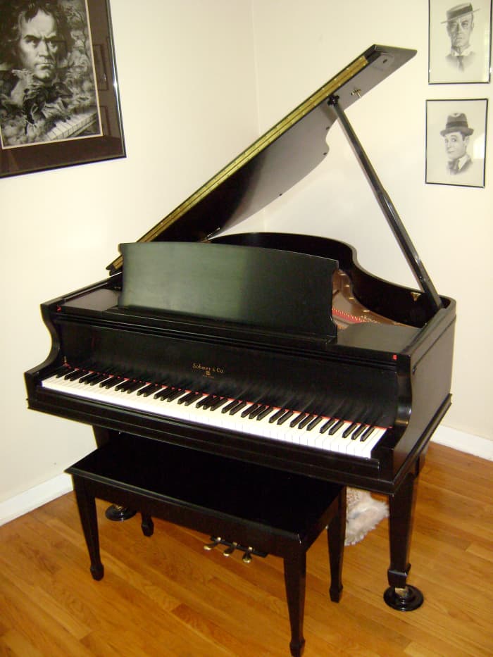 A piano is one of the best learning tools ever invented and brings hours of musical pleasure to one and all.