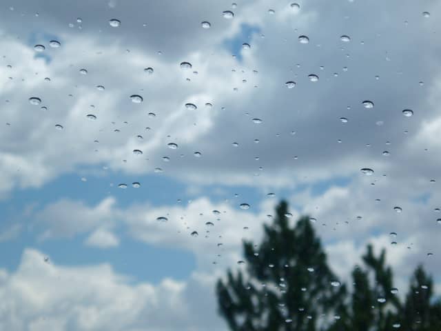 At the center of raindrops and hailstones lies Pseudomonas syringae - an ice-nucleating bacteria whose freezing action causes water vapor to condense into clouds, rain, hail, sleet, and snow.