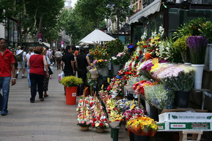 Wonderful flowers sold on the streets in Las Ramblas.