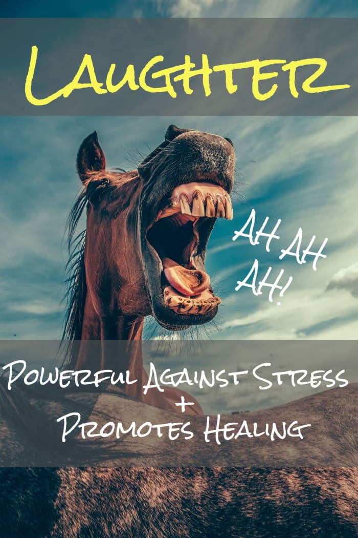 Did you know laughter has multiple beneficial effects on our brain and body? A good belly laugh reduces stress and promotes healing. Some info on how that works in this article.