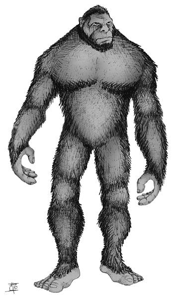 With a massively muscled upper body, thick fur and upright walking gait Orang Pendek may resemble a mini-Bigfoot.