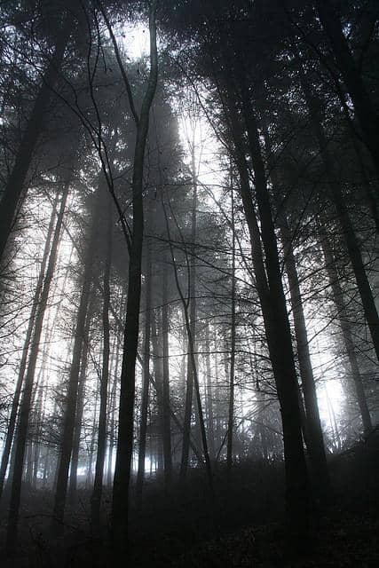 Discover four possibly haunted places in the state of Indiana, ranging from a hospital to a library.