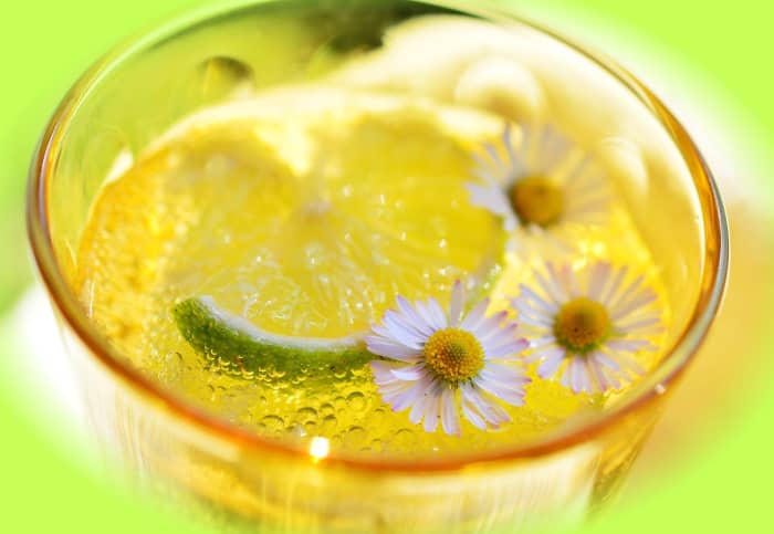 Try one of these easy diet limeade slushy recipes for your next summer party.
