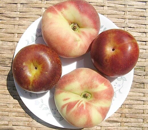 A diet that is high in fruits and vegetables and low in sodium helps to reduce high blood pressure.