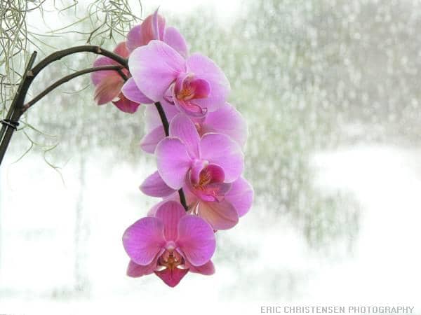 10-types-of-highly-sensitive-people-and-their-characteristics-which-best-suits-you