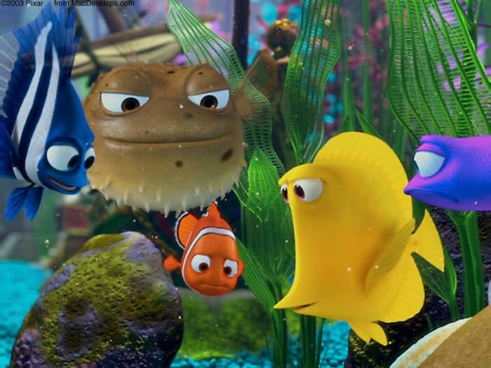 The fish in the "Finding Nemo" tank wouldn't get along in real life, and they'd need a lot more space. Learn more about how to create a healthy tank based on the films.