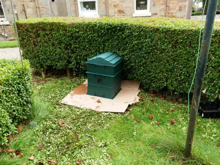 How to Set Up a Worm Composting Bin (With StepbyStep Photo Guide