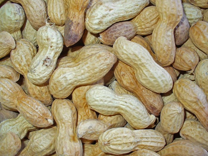 Peanuts