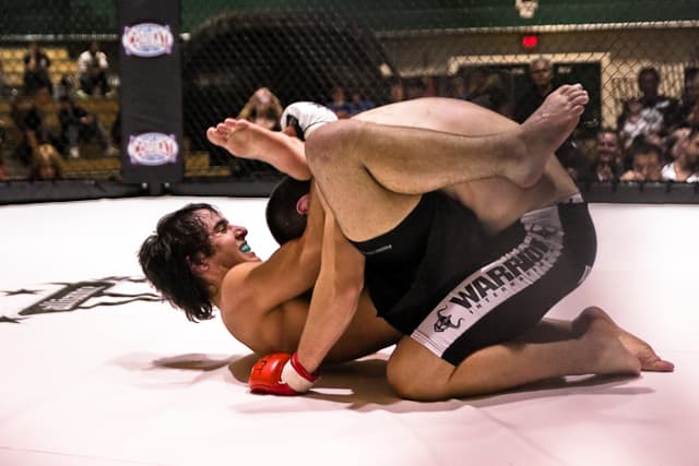 MMA culture is portrayed as "unintellectual" but the sport requires brains and brawn.